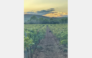 Les Hauts de Montfort