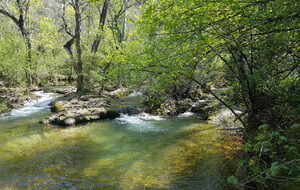 Saint Probace Tourves