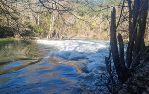 Les manjas de Perus Thoriné